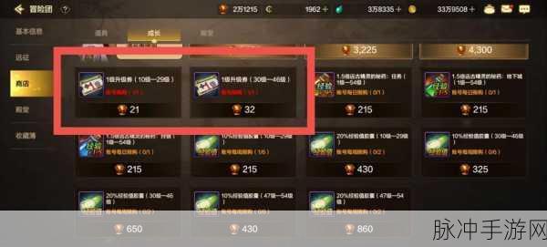 DNF手游公会深度玩法攻略，携手并进，共创辉煌