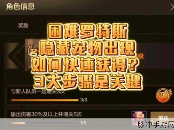 DNF手游宠物等级快速提升与经验获取攻略
