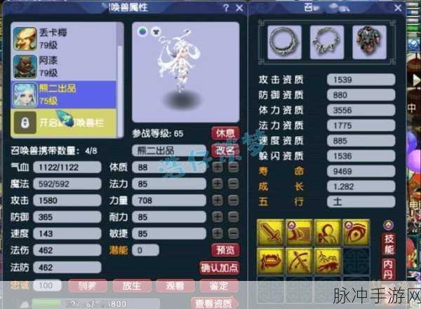 梦幻西游手游新门派花果山实战全解析，策略与技巧并重