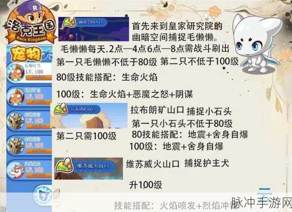 洛克王国手游攻略，如何快速获得技能书