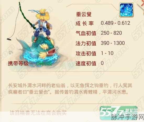 大话西游手游，垂云叟加点全攻略
