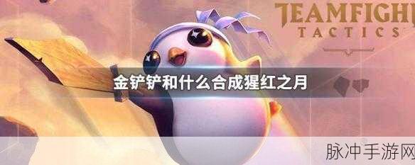 金铲铲巅峰币价格全解析，助您畅玩游戏