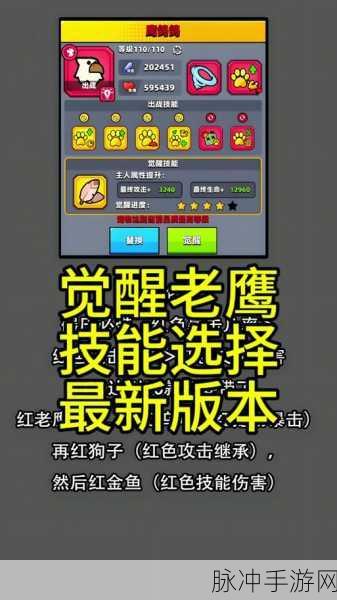 弹壳特攻队宠物系统深度玩法介绍