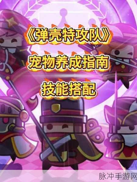 弹壳特攻队宠物系统深度玩法介绍