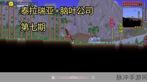 泰拉瑞亚，掌控史莱姆皇后召唤秘籍 称霸游戏世界