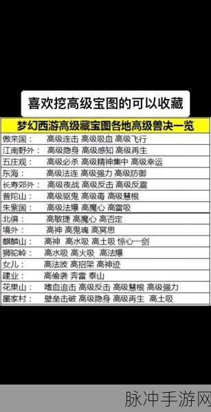 梦幻西游维版高级藏宝图探秘，无尽宝藏等你来寻
