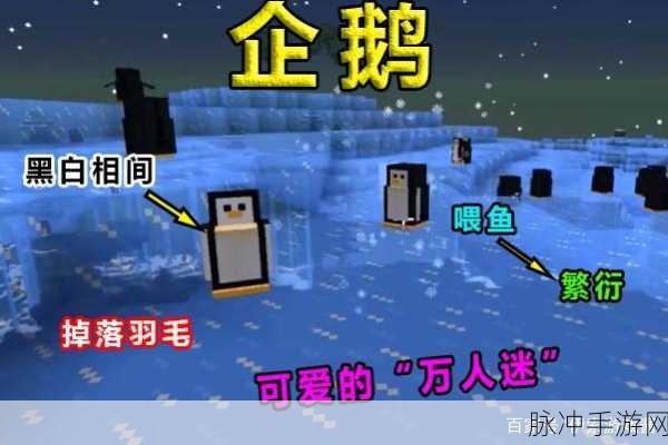 我的世界企鹅位置分布详解，探索冰雪世界的奇妙居民