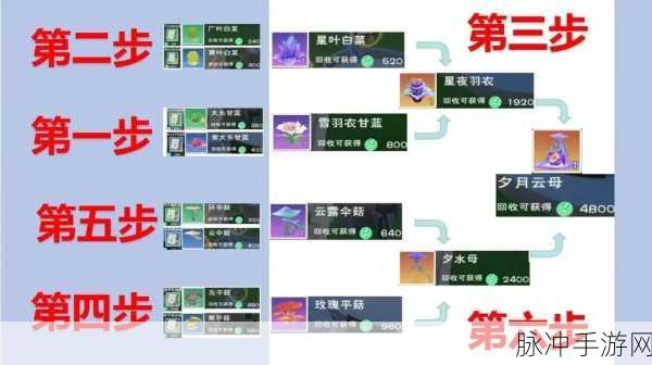 探索创造与魔法，赛兰斯神秘的另一传送点全解析