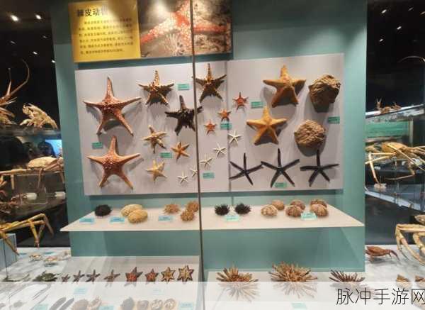 星露谷物语，恐龙蛋获取与孵化全攻略