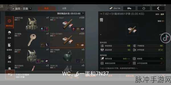 暗区突围旅馆秩序任务全攻略，解锁胜利与荣耀的钥匙
