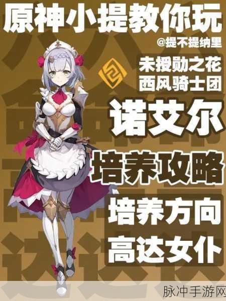 原神诺艾尔，全方位技能解析与实战应用指南