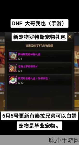 DNF手游攻略，树精宠物拿不下来？解决方法其实很简单