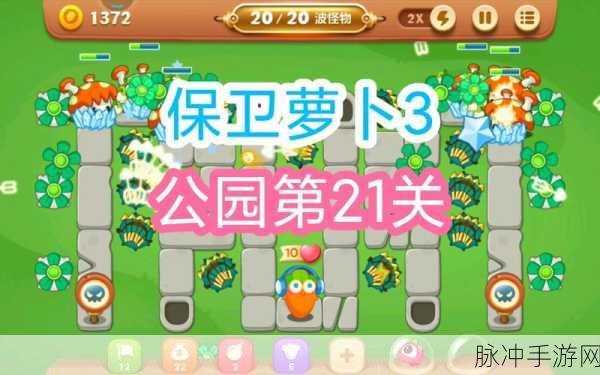 保卫萝卜3游乐场14关全解析，助你轻松通关游乐场第14关