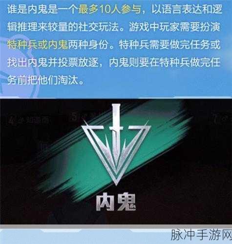 绝地求生，深入剖析内部挂与市场挂的区别与应对策略