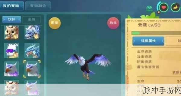 创造与魔法手游攻略，云鹰饲料配方制作全解析