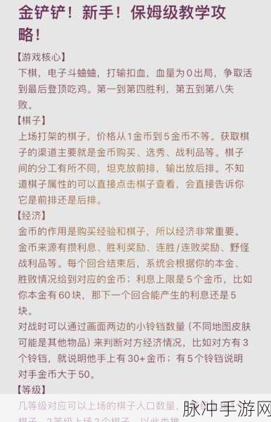 金铲铲之战双人模式深度玩法解析与攻略
