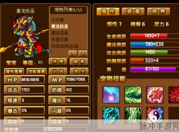 造梦西游3探秘青龙妖圣，解锁其隐藏奥秘与战斗攻略