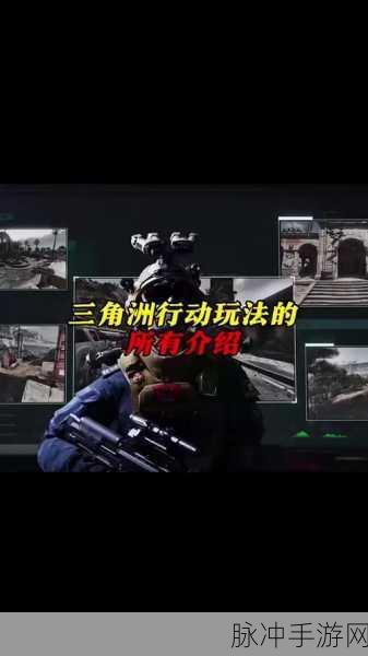 三角洲行动军牌显示样式全揭秘及攻略指南