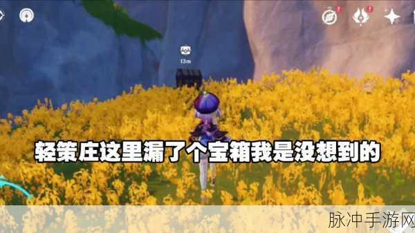 原神轻策庄农家菜的全方位探秘