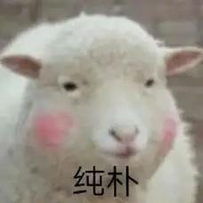 妄想山海深度攻略，驳杂木之精华的获取之道