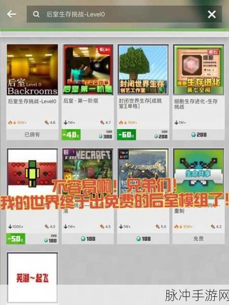 我的世界手机版，全面探索小鸡孵化技巧与高效繁殖策略指南