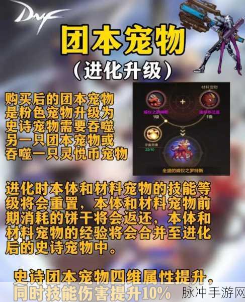 DNF 手游，5%黄字与 50 技能抉择，武器词条攻略指南