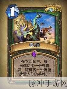 炉石传说新卡深度解析，奔踏图鉴详解及实战应用