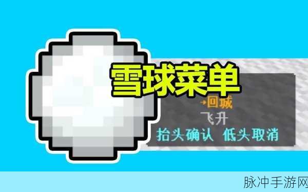 我的世界手机版雪球无限刷取秘籍