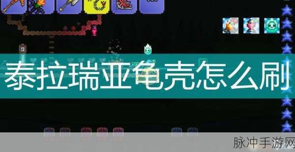 泰拉瑞亚甲虫套，效果解析与获取全指南