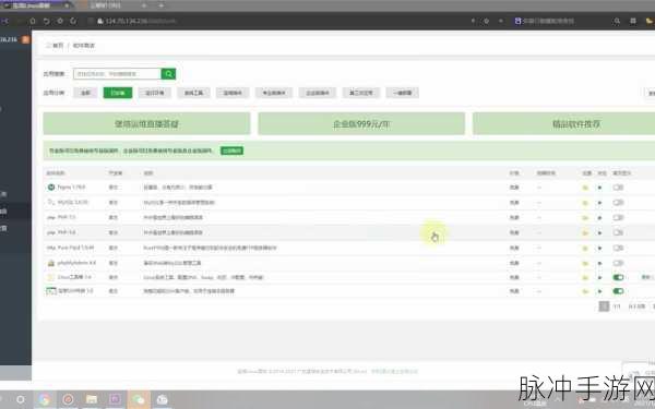 异界事务所罗伊全面解析，技能介绍与实战应用