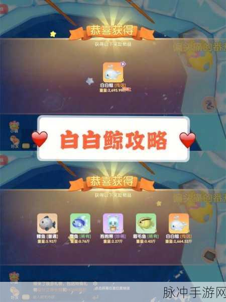 摩尔庄园手游，白白鲸喷泉的魅力全解析