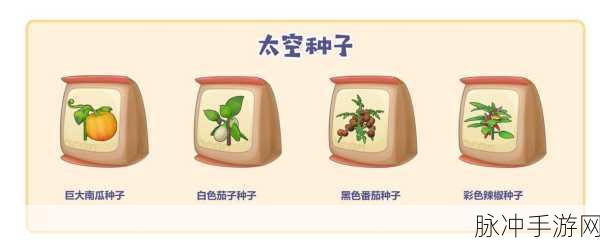 摩尔庄园手游太空飞行器获取秘籍全攻略