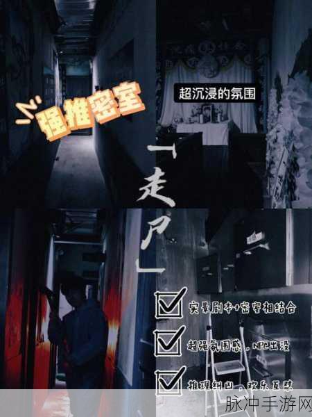 世界之外密室综艺19楼副本全攻略，解锁成功与失败的双重体验