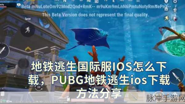 PUBG地铁逃生深度攻略，如何安全高效地购买8级卡密