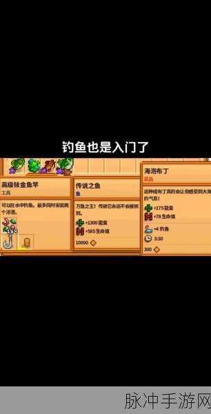 星露谷物语，传说鱼王出没的秘密指南