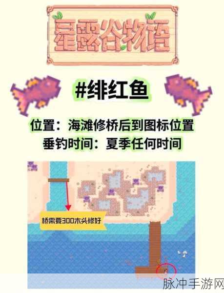 星露谷物语，传说鱼王出没的秘密指南