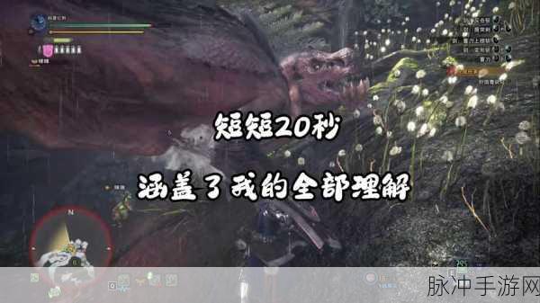 怪物猎人世界冰原，主线耗时与狩猎征程全解析