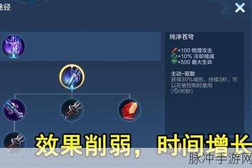 王者荣耀，纯净苍穹深度解析与装备搭配禁忌