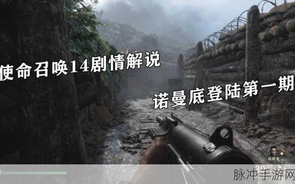 深度解析使命召唤 14 季票通行证的奥秘