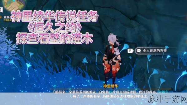 原神调查石壁上的灌木任务全攻略，解锁隐藏宝藏的秘诀