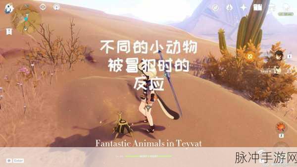 原神调查点遁藏之地小动物解救指南与实战分享