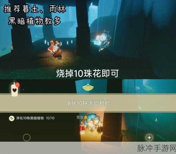 光遇红色光芒探索指南，详尽位置介绍与攻略