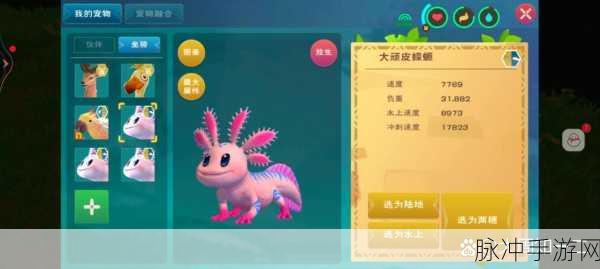 创造与魔法大蝾螈饲料保底全面解析