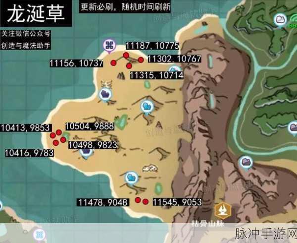 创造与魔法，彩壳龟位置全揭秘