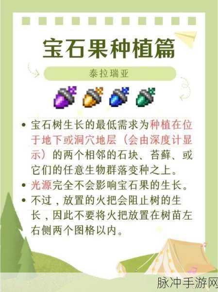 泰拉瑞亚宝石树种植方法全面解析