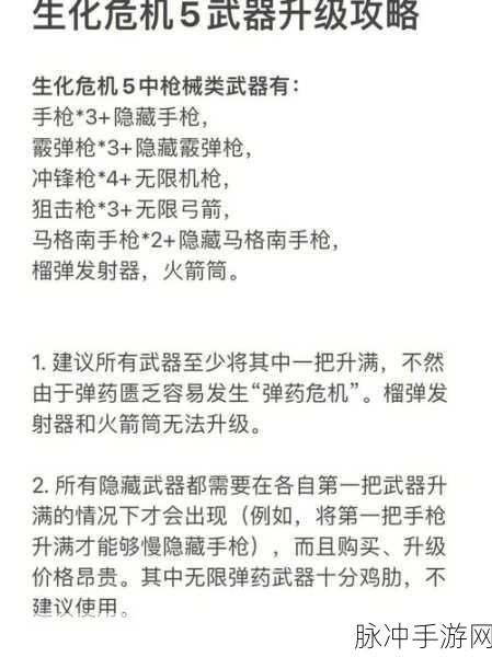 生化危机5手游完美存档使用全攻略