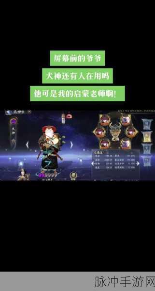 阴阳师犬神深度解析，值得培养的式神与最强御魂搭配