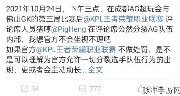 王者荣耀举报机制的是与非，一诺特权举报引争议
