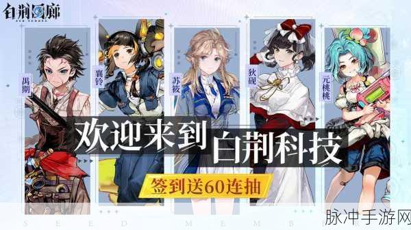 白荆回廊预抽卡伙伴携带指南