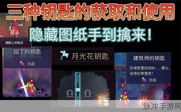 重生细胞手游攻略，月光花钥匙位置全解析